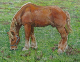 Horse feeding, oil on canvas, 11" x 14"